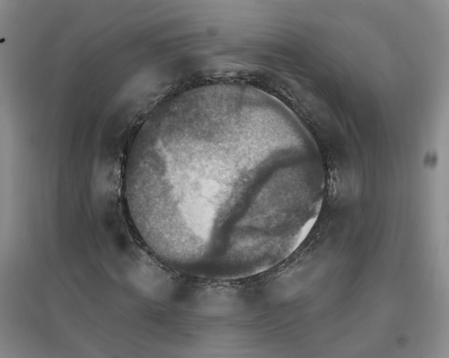 X0000094420820200711151318