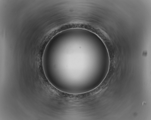 X0000094420821200711151318