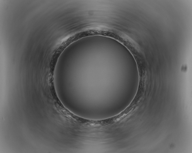 X0000094420822200711151318