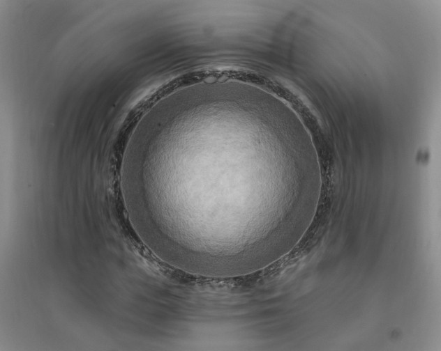 X0000094420823200711151318