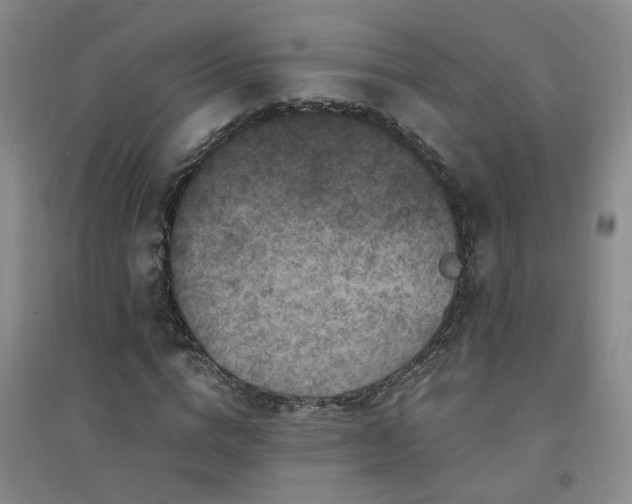 X0000094420824200711151318