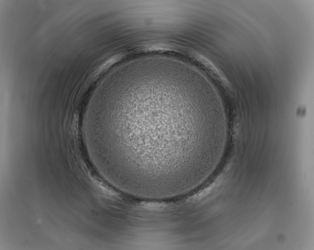 X0000094420825200711151318