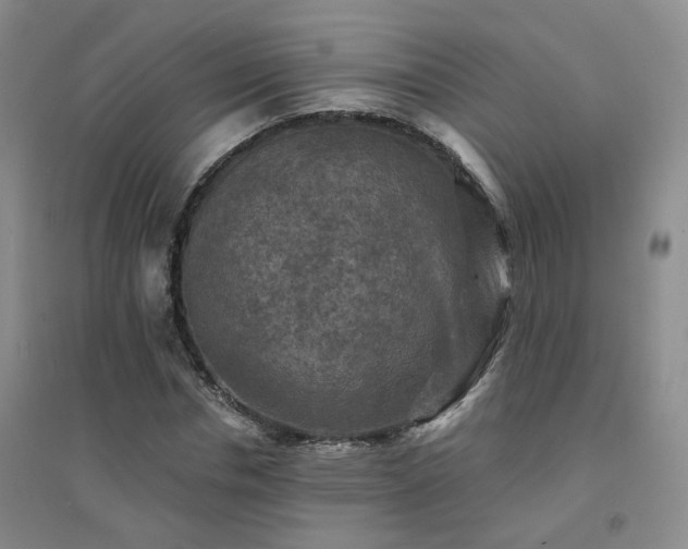 X0000094420826200711151318