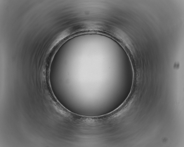 X0000094420827200711151318