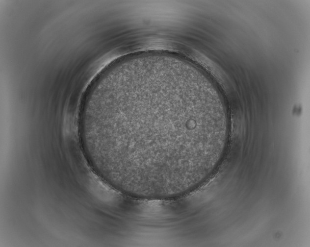 X0000094420828200711151318