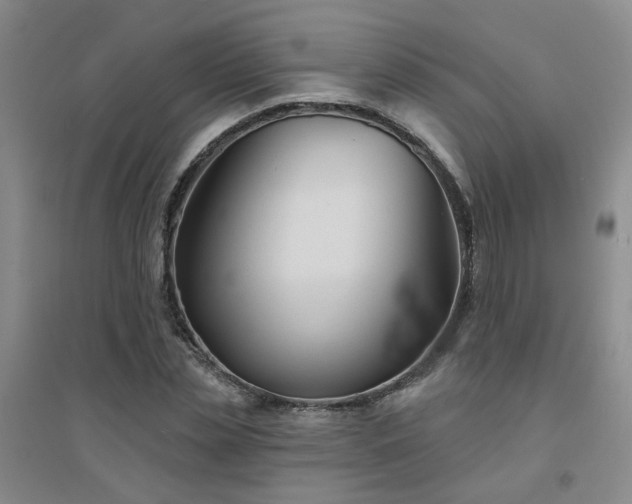 X0000094420829200711151318
