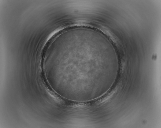 X0000094420830200711151318
