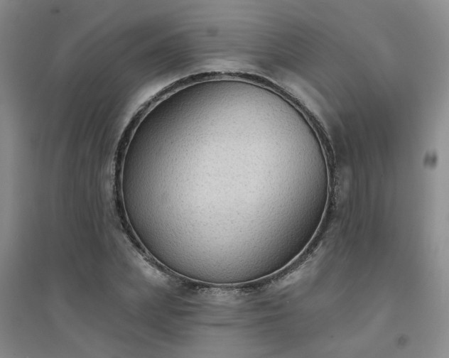 X0000094420831200711151318
