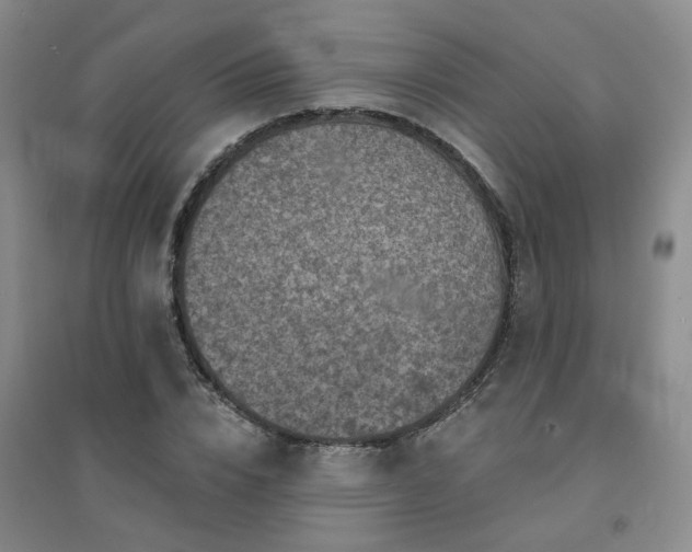 X0000094420832200711151318