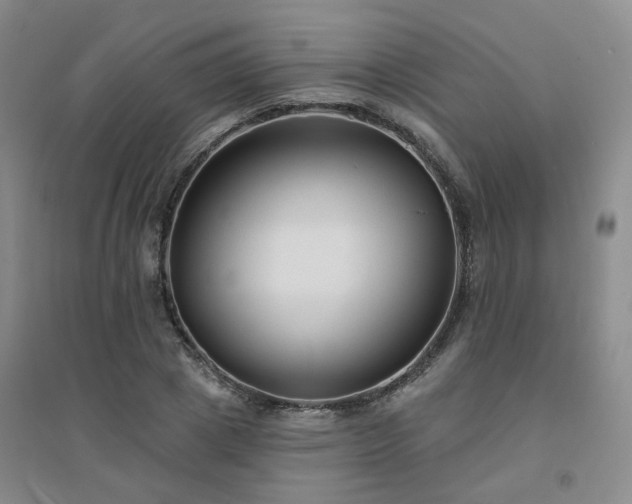 X0000094420833200711151318