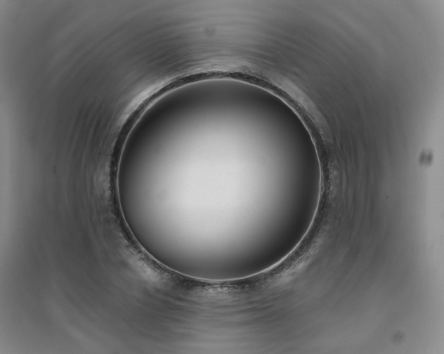 X0000094420834200711151318