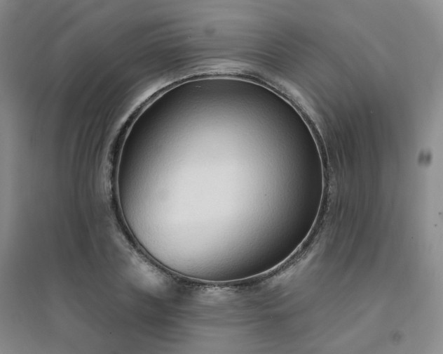 X0000094420835200711151318