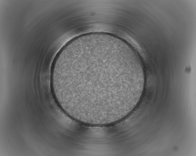 X0000094420836200711151318