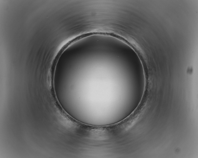 X0000094420838200711151318