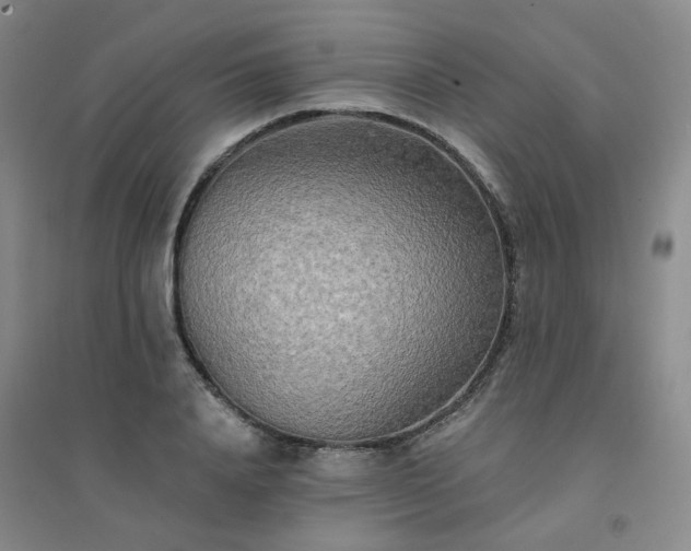 X0000094420840200711151318