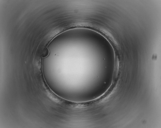 X0000094420841200711151318