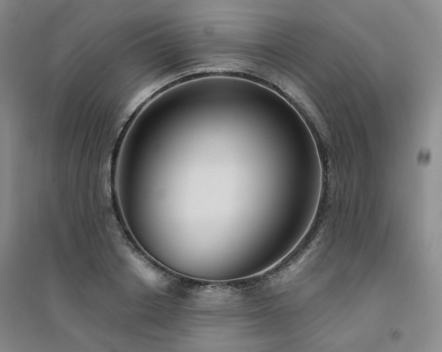 X0000094420842200711151318