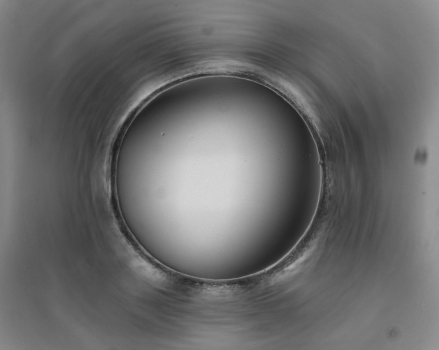 X0000094420843200711151318