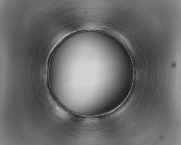 X0000094420844200711151318