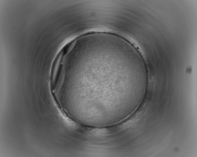 X0000094420845200711151318