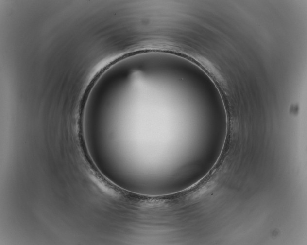 X0000094420846200711151318