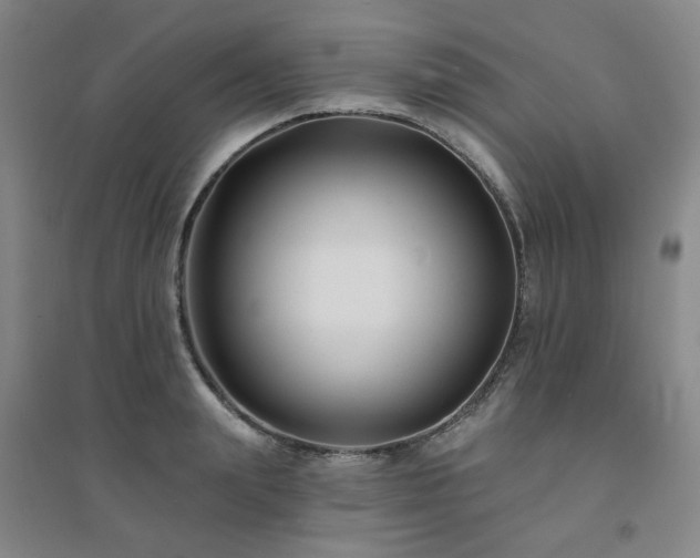 X0000094420847200711151318