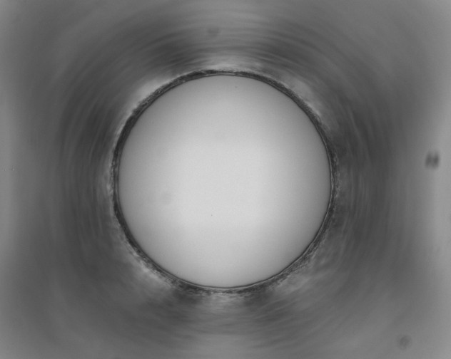 X0000094420848200711151318