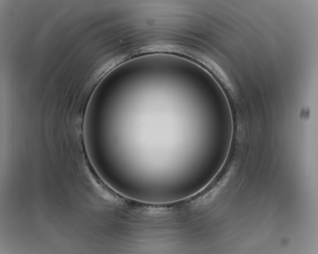 X0000094420849200711151318
