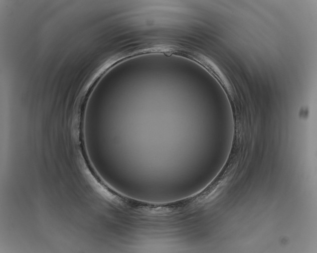 X0000094420851200711151319