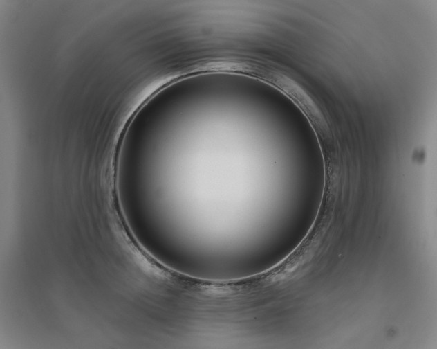 X0000094420852200711151319