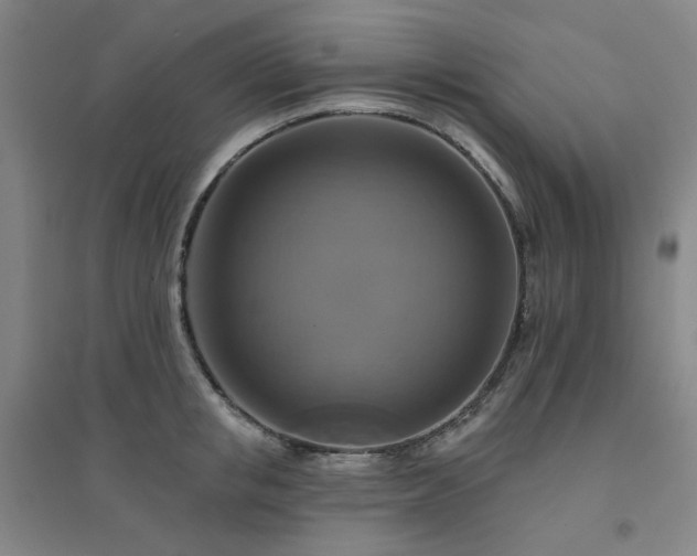 X0000094420853200711151319