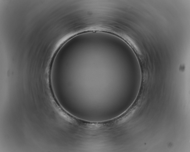 X0000094420854200711151319