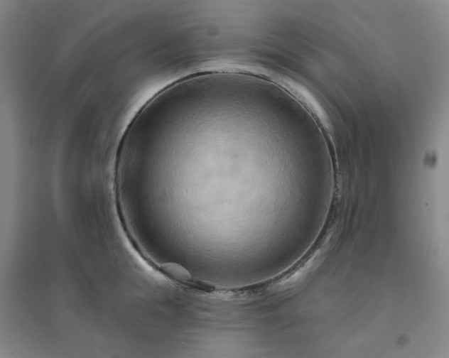 X0000094420855200711151319