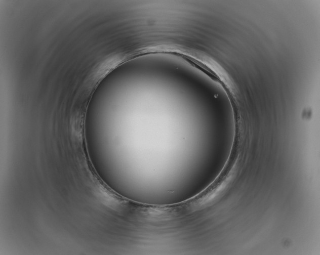 X0000094420857200711151319