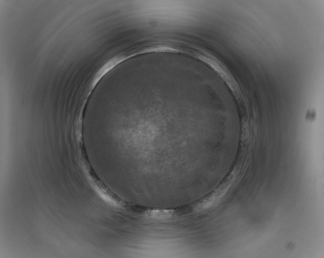 X0000094420858200711151319
