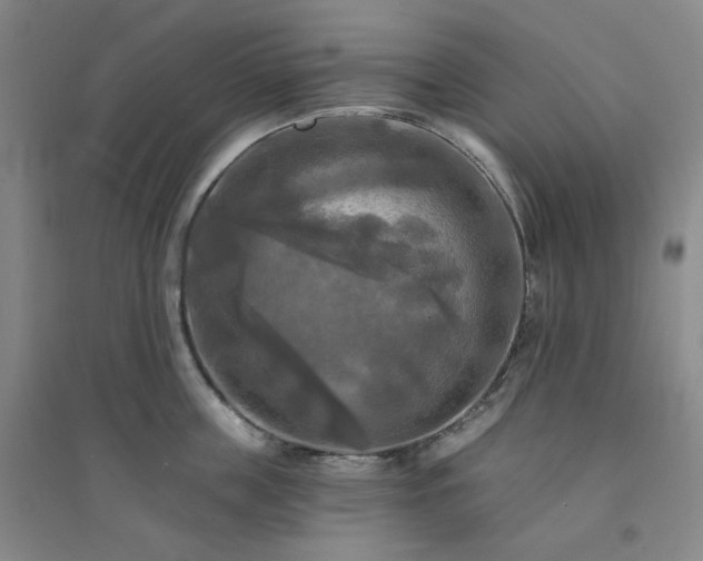 X0000094420859200711151319