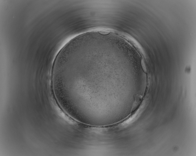 X0000094420860200711151319