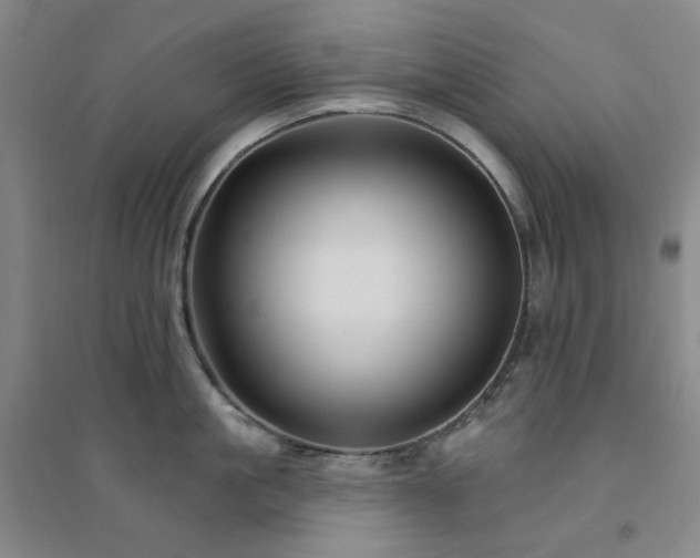 X0000094420861200711151319