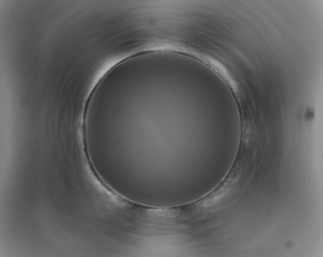 X0000094420863200711151319