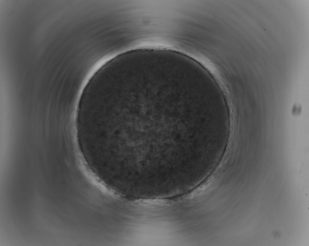 X0000094420864200711151319