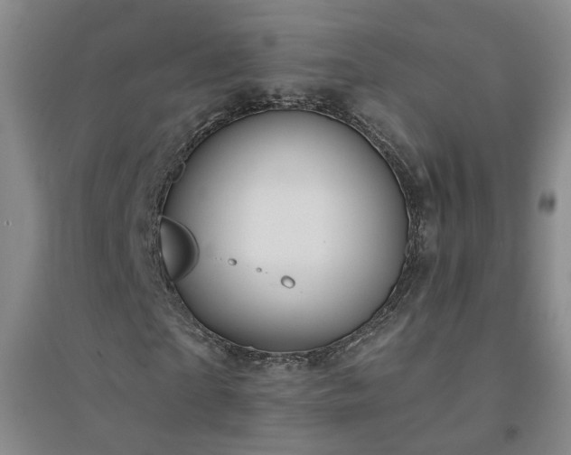 X0000094420865200711151318