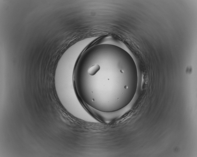 X0000094420868200711151318