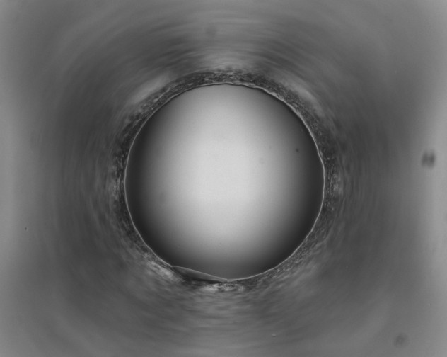 X0000094420869200711151318