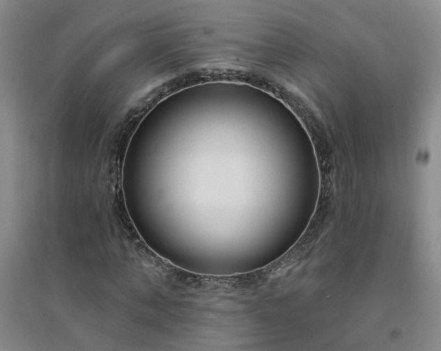 X0000094420870200711151318