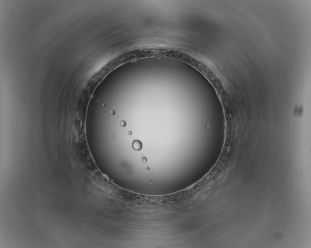 X0000094420871200711151318