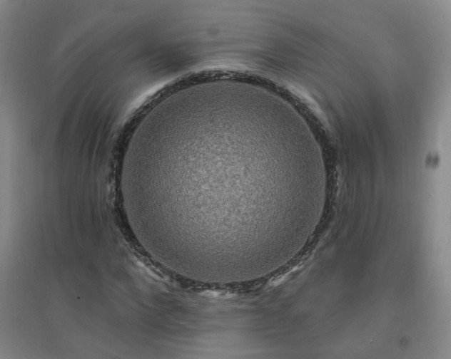 X0000094420872200711151318