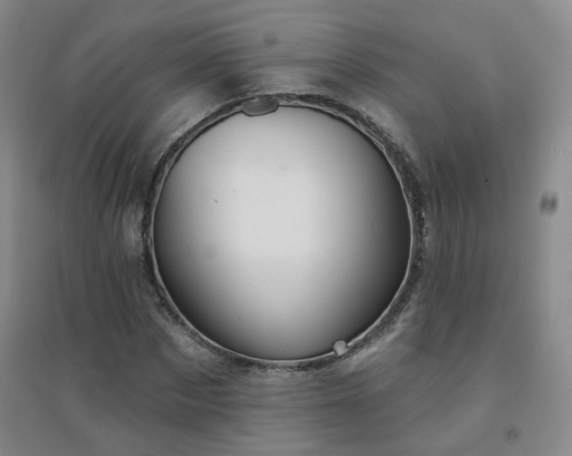 X0000094420873200711151318