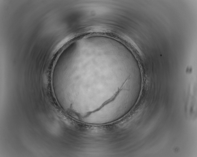 X0000094420874200711151318