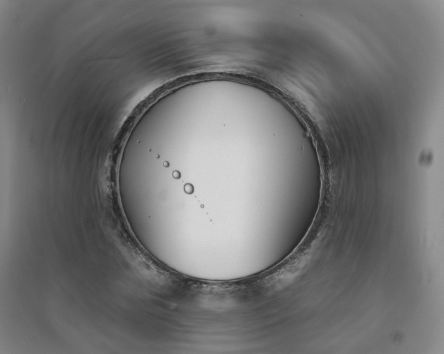 X0000094420875200711151318