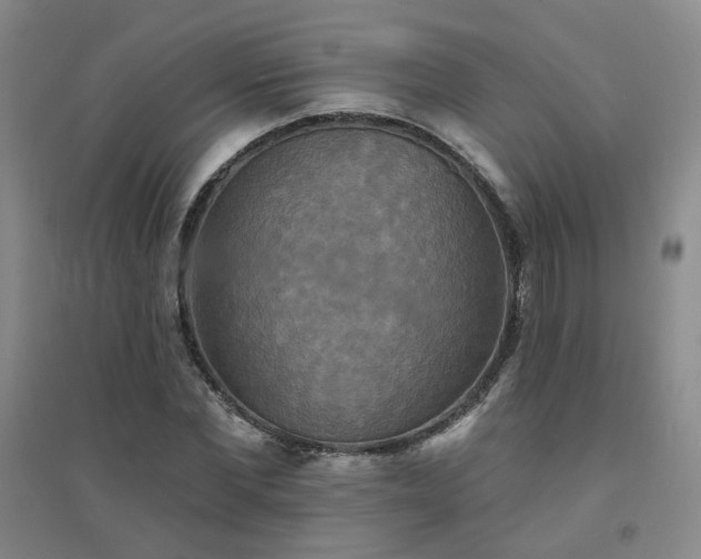 X0000094420877200711151318
